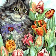 Кот и тюльпаны