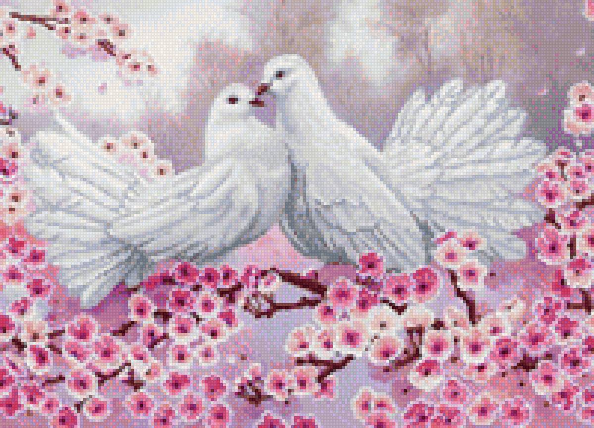 Голуби - любовь и голуби - предпросмотр