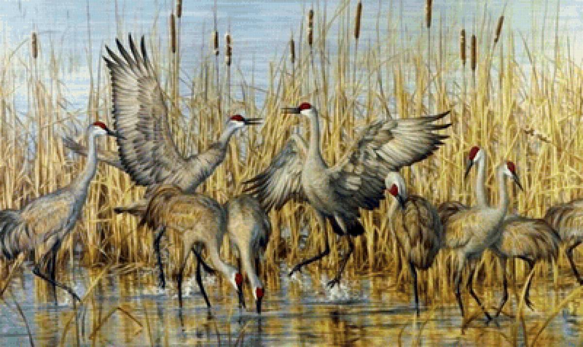 Журавли - предпросмотр