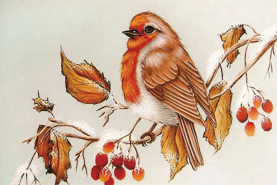 Птичка - снег, ветка, ягоды, птицы - оригинал