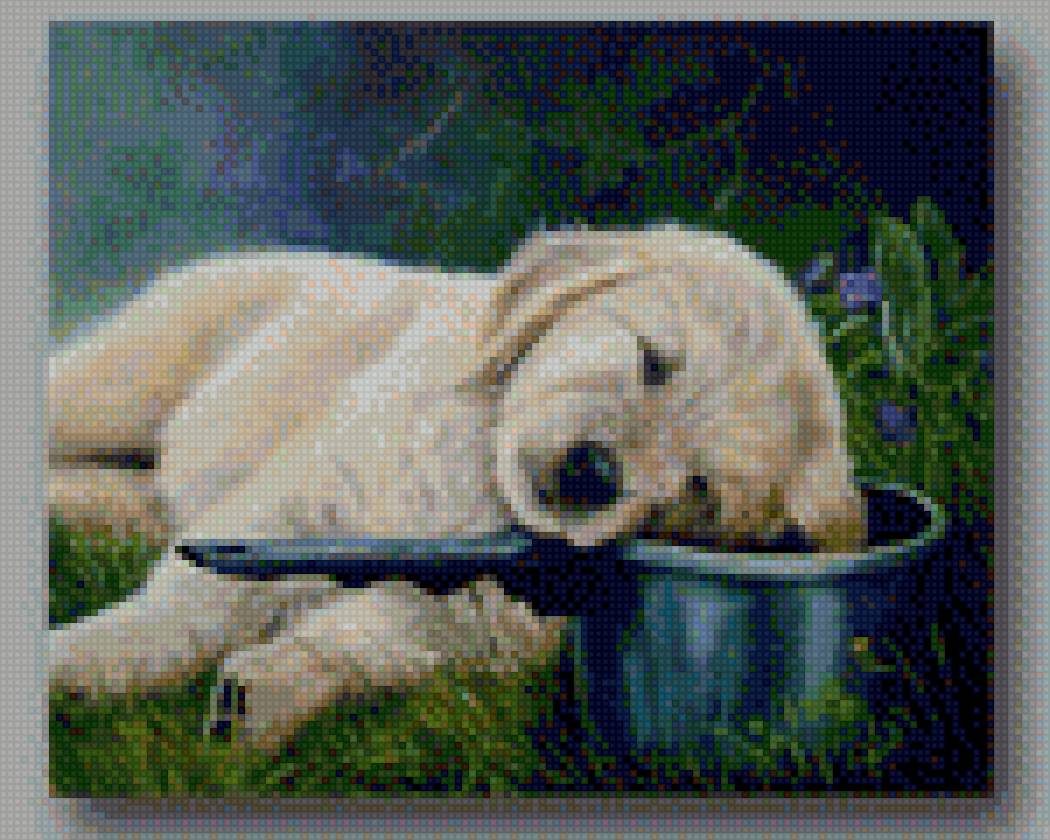 №1643504 - предпросмотр