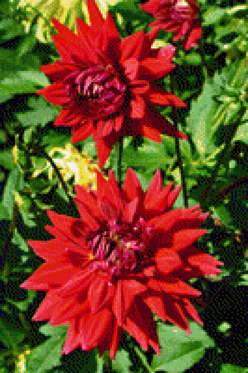 jurginai - предпросмотр