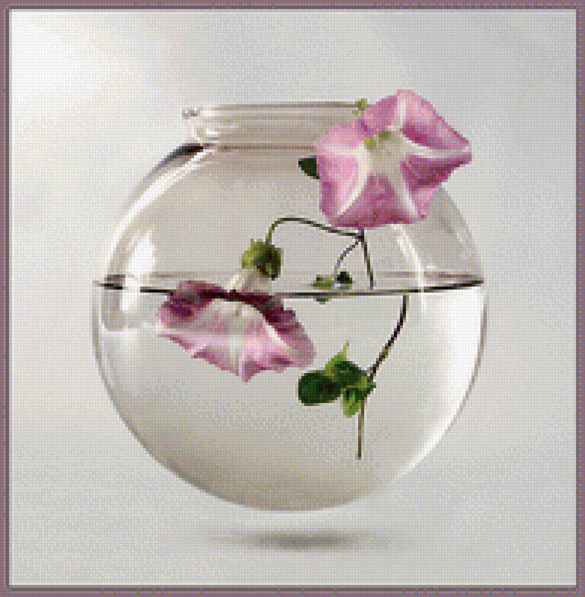 вьюн - предпросмотр