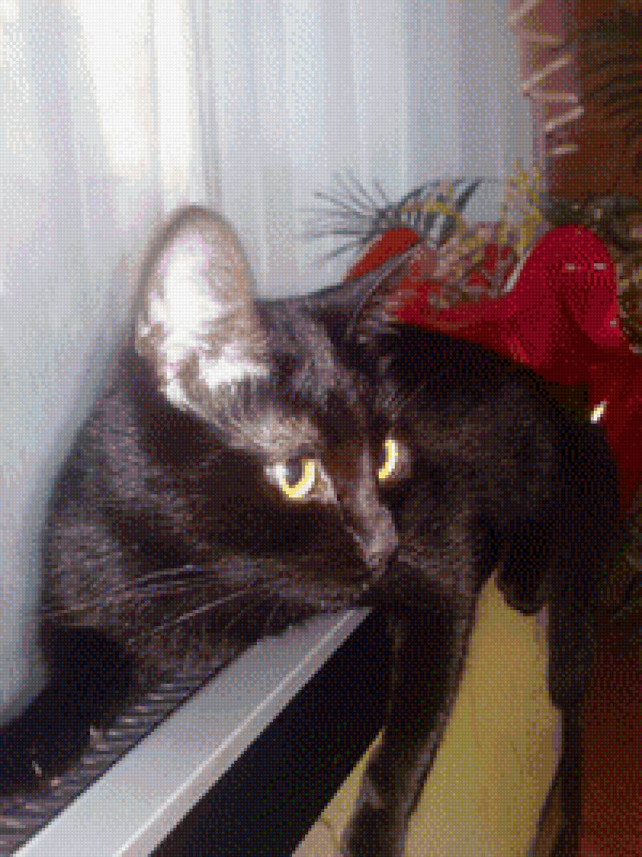 Гызуня - кошки - предпросмотр