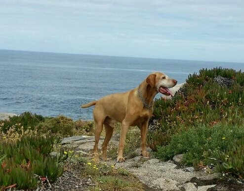 Sita2 - оригинал