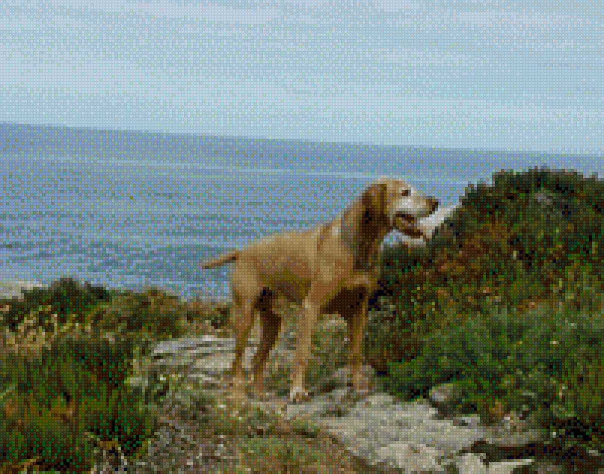 Sita2 - предпросмотр