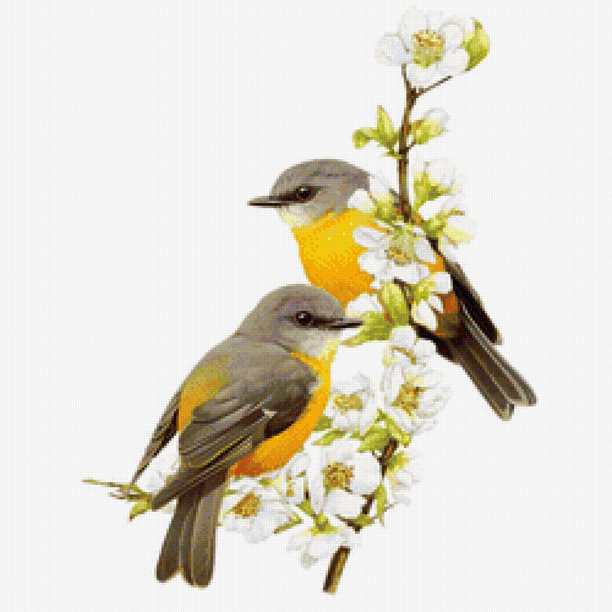 птицы на ветке - цветы, ветка, птицы - предпросмотр