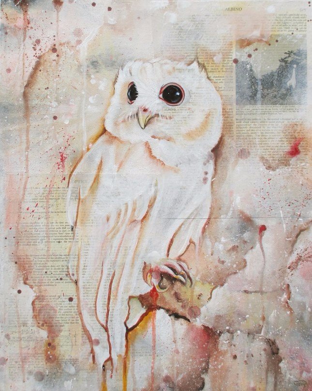 Сова - #птица, #сова - оригинал