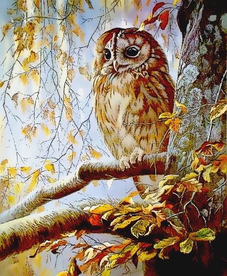 №1644620 - оригинал