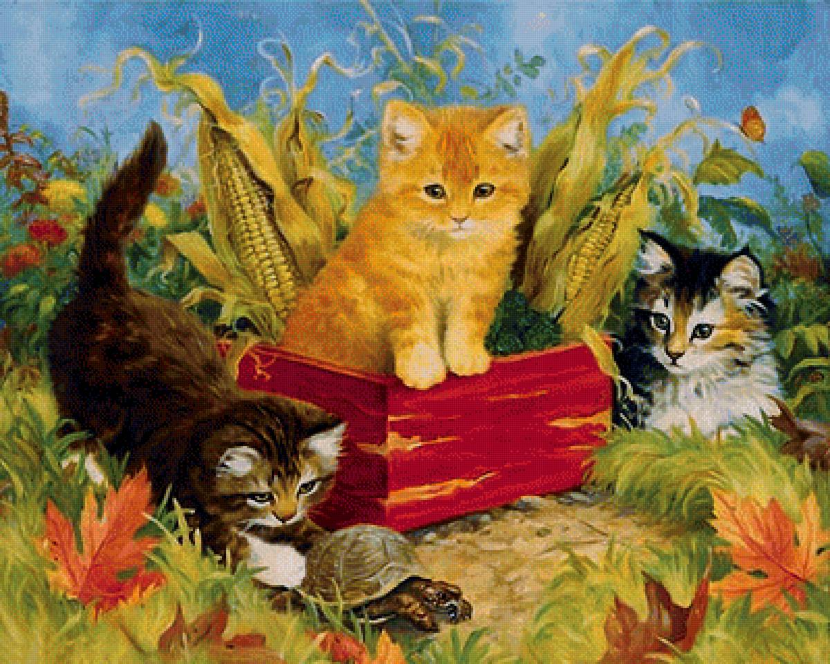 mačičky - предпросмотр