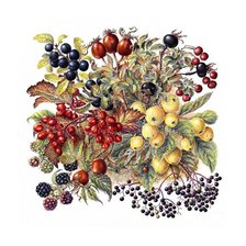 Схема вышивки «№1644774»