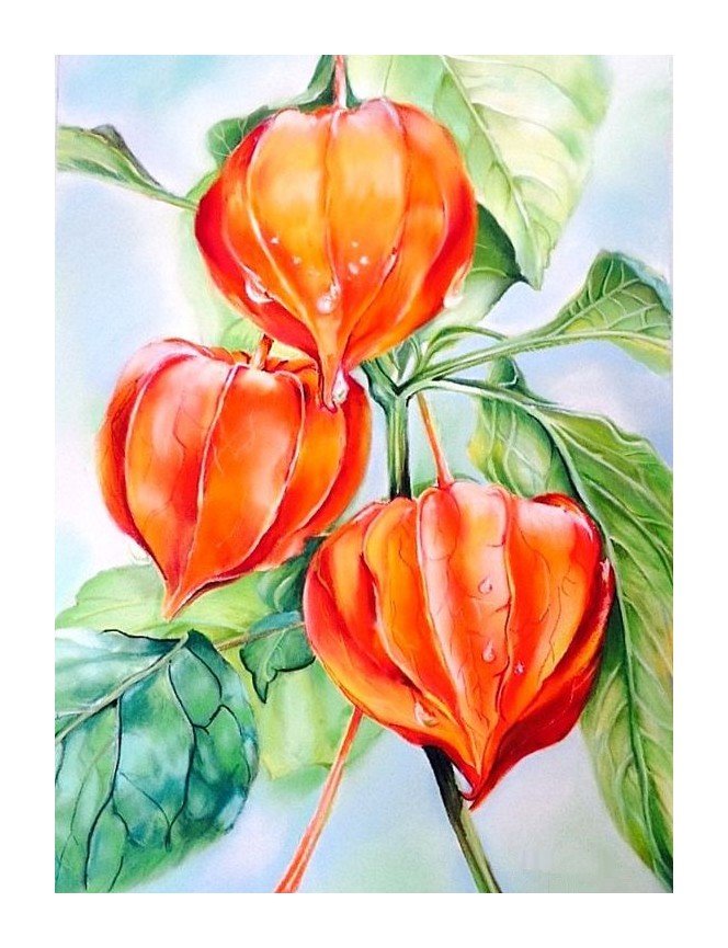 №1644777 - оригинал