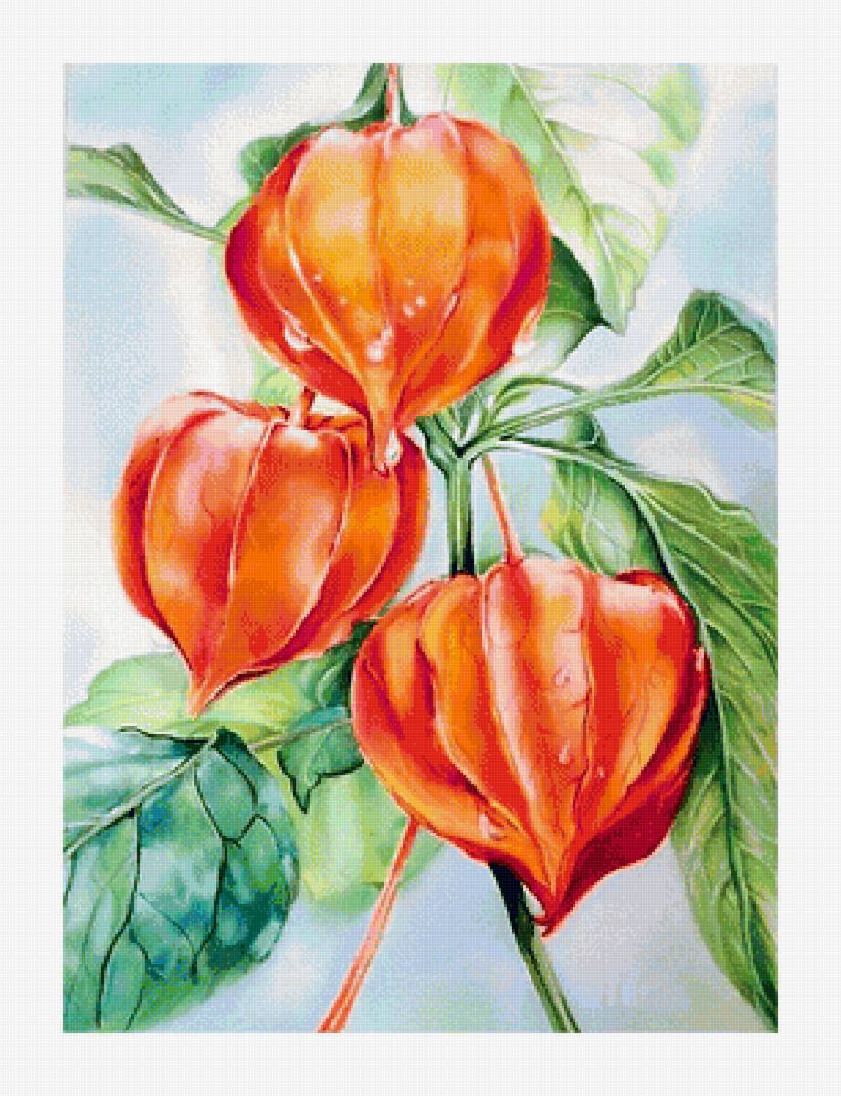 №1644777 - предпросмотр