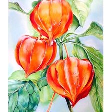 Схема вышивки «№1644777»