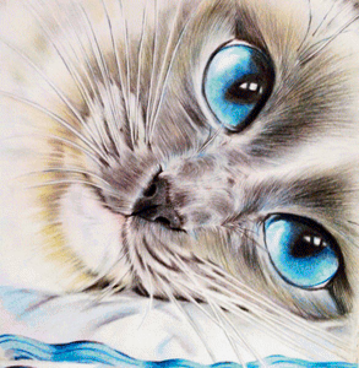 Голубоглазое счастье - котик - предпросмотр