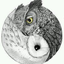 Схема вышивки «owl yinyang»