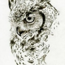 Схема вышивки «owlsepia»