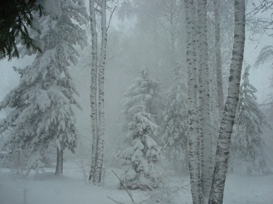 №1645917 - оригинал