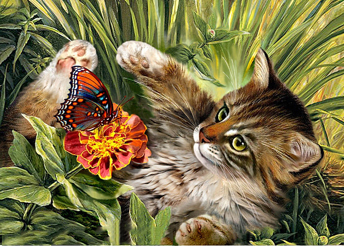 №1646454 - оригинал