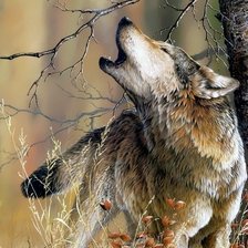 Схема вышивки «№1646736»