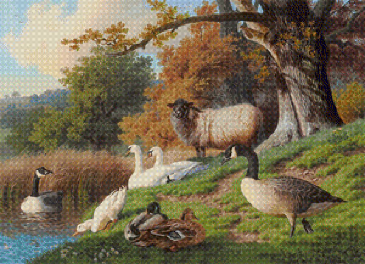 Animais Campo - animais - предпросмотр