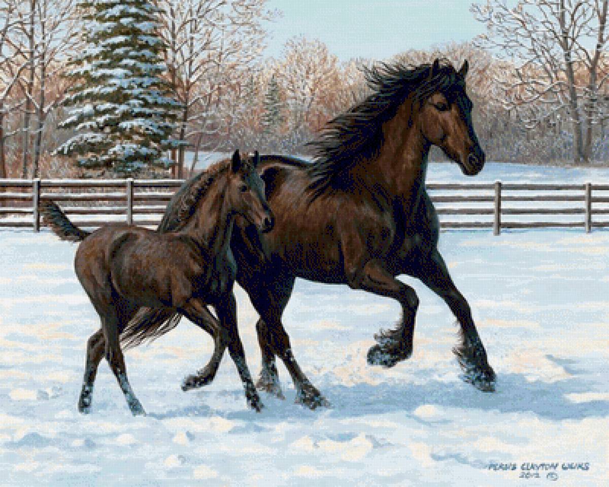 №1646925 - предпросмотр