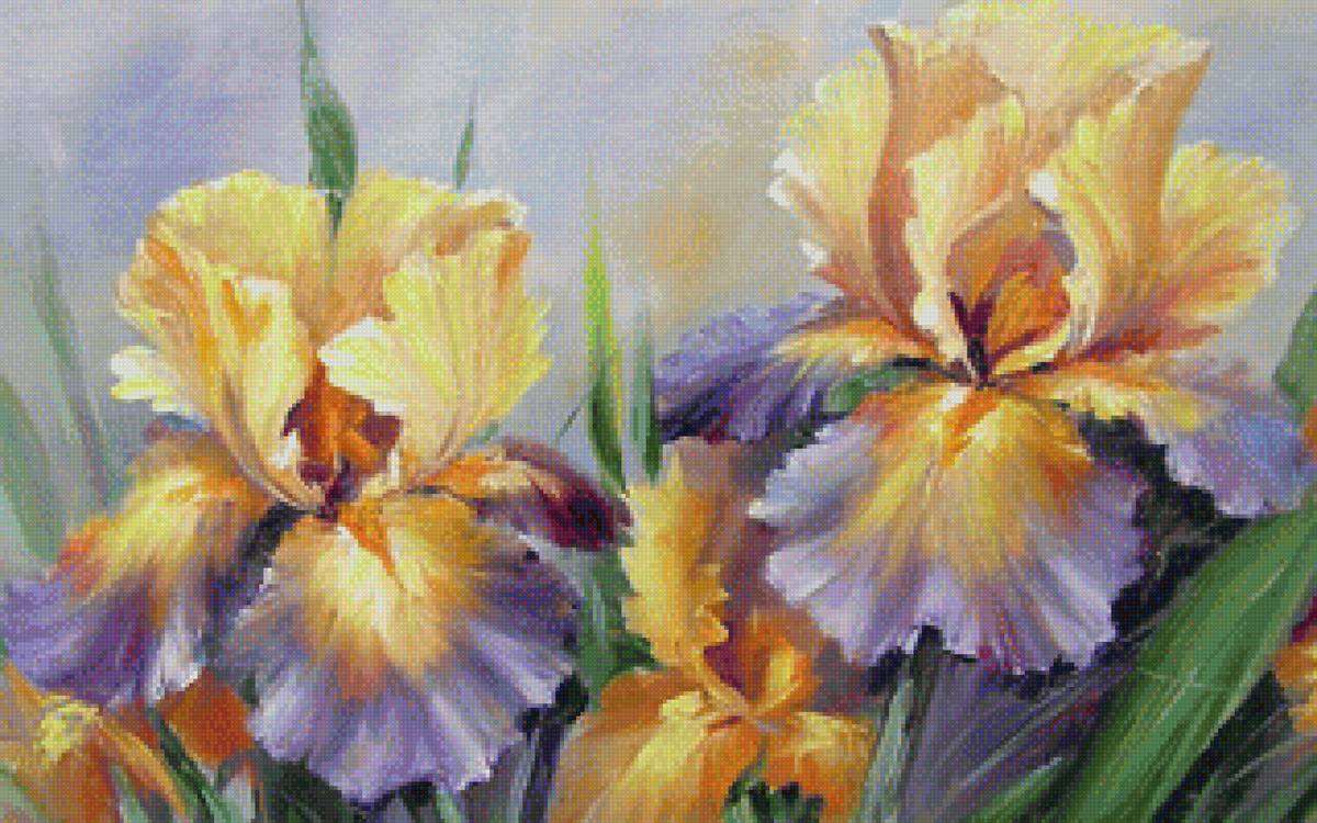 ирисы - ирисы - предпросмотр