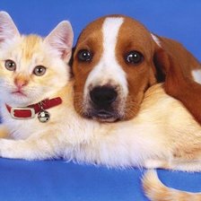 Схема вышивки «25»