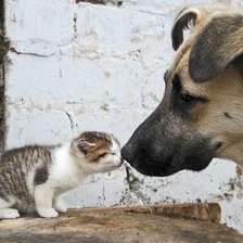 Схема вышивки «28»