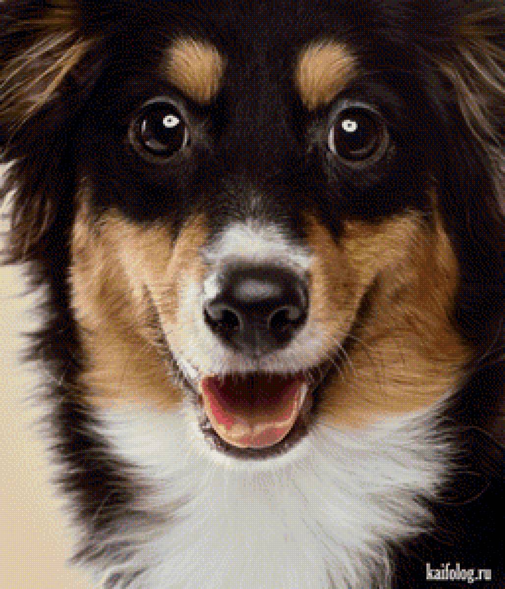 Собачка - предпросмотр