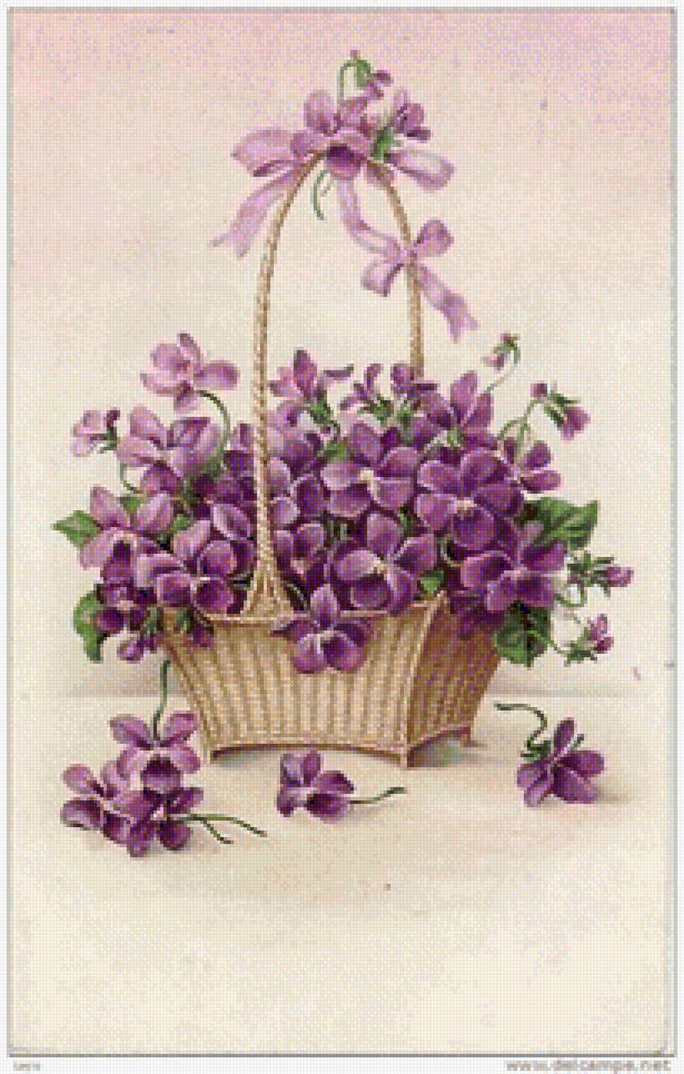 Violetas Cesto - flores - предпросмотр