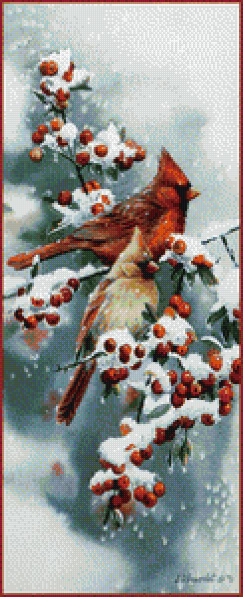 кардиналы зимой - кардиналы - предпросмотр