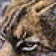 Предпросмотр схемы вышивки «хищник» (№1647701)