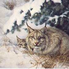 зимняя картина