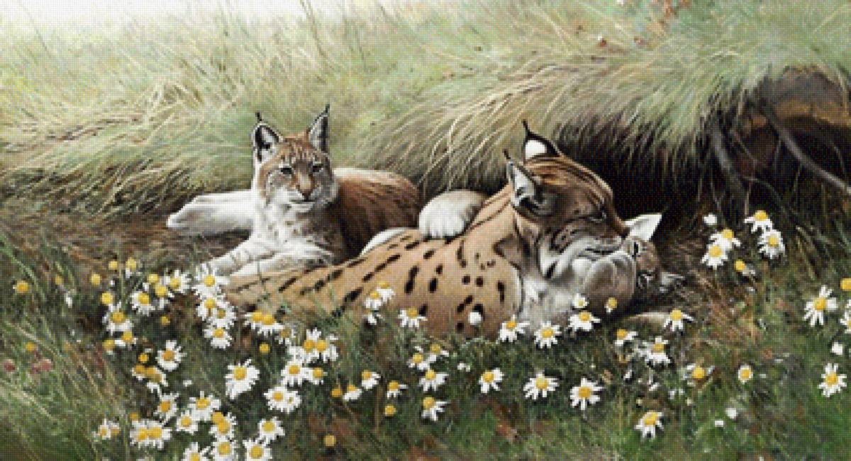 картина - пейзаж, природа, животные - предпросмотр