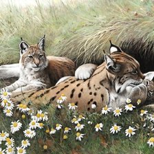 Схема вышивки «картина»