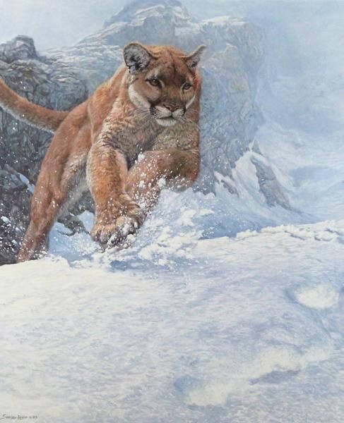 зимой в горах - природа, зима, животные - оригинал