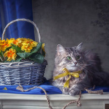 Схема вышивки «35»