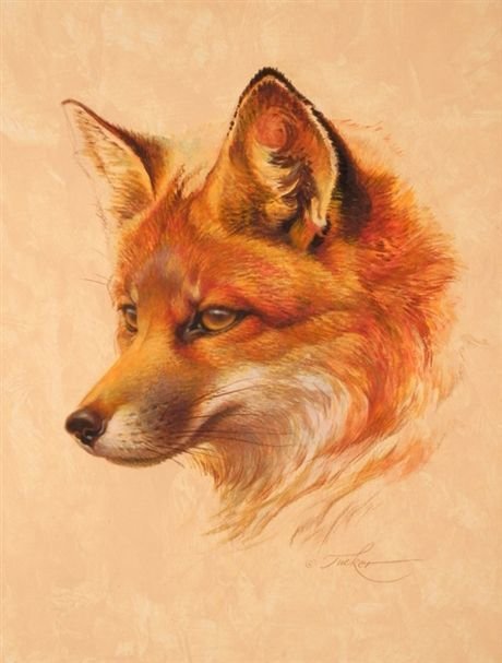 lis - оригинал