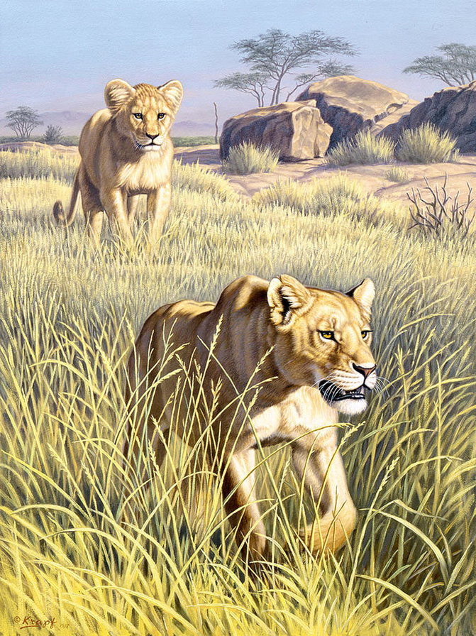 львы - природа, пейзаж, животные - оригинал