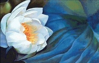 Белый лотос 2 - белый лотос, азия, цветы, лотос, восток, китай - оригинал