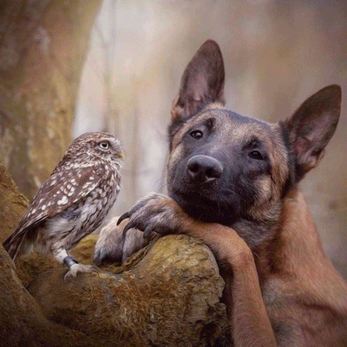 43 - предпросмотр