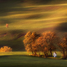 Схема вышивки «Раздолье»