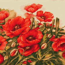 Схема вышивки «MAKOVE»