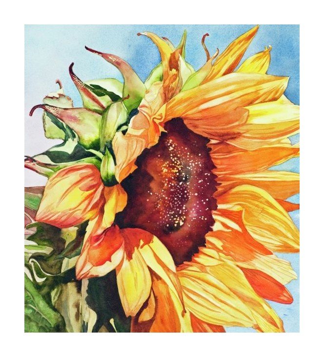 №1649055 - оригинал