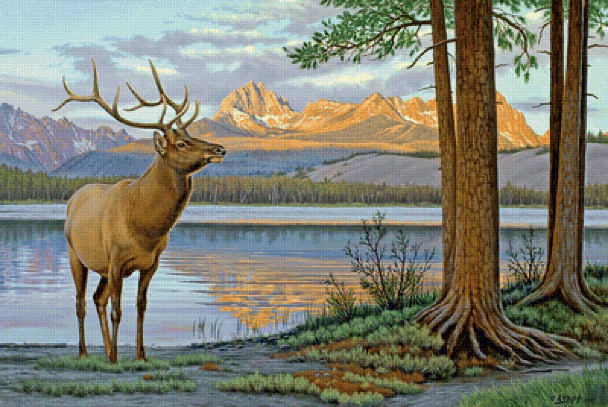 картина - животные, природа, пейзаж - предпросмотр