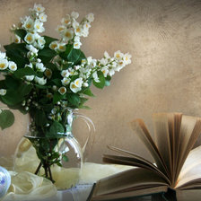 Схема вышивки «натюрморт»