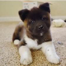 Схема вышивки «50»