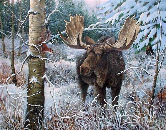 лось - природа, животные, зима - оригинал