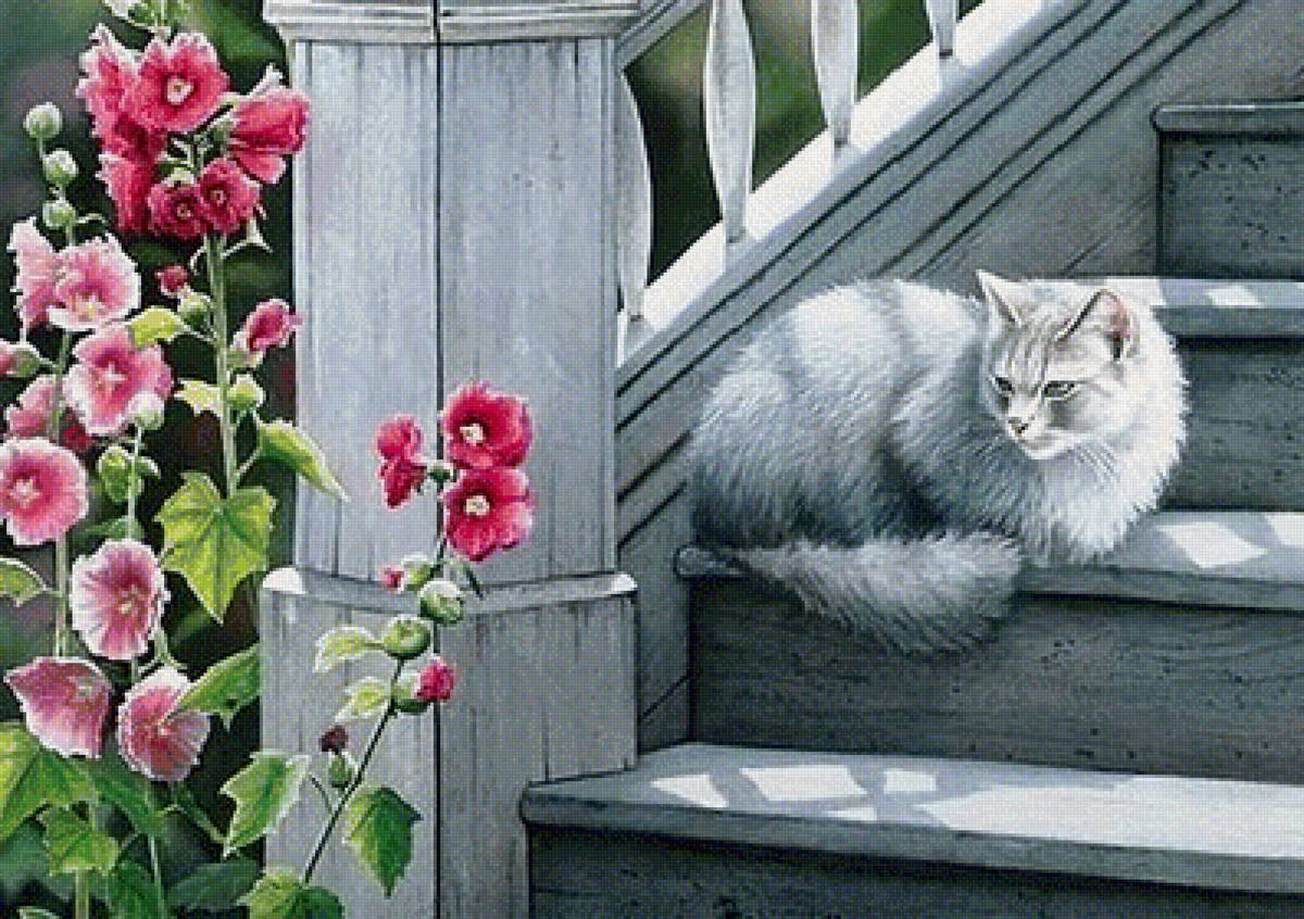 Солнечный котик - предпросмотр